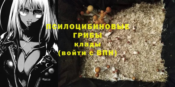spice Алексин