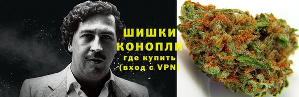 spice Алексин
