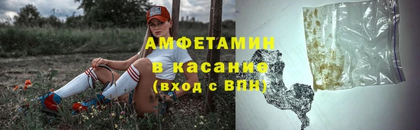 твердый Алзамай